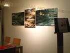 P3190076fb.jpg
